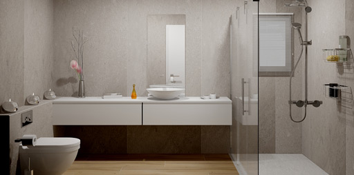 render-bano1