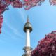 Estilos del mundo: Seoul, Nam Tower